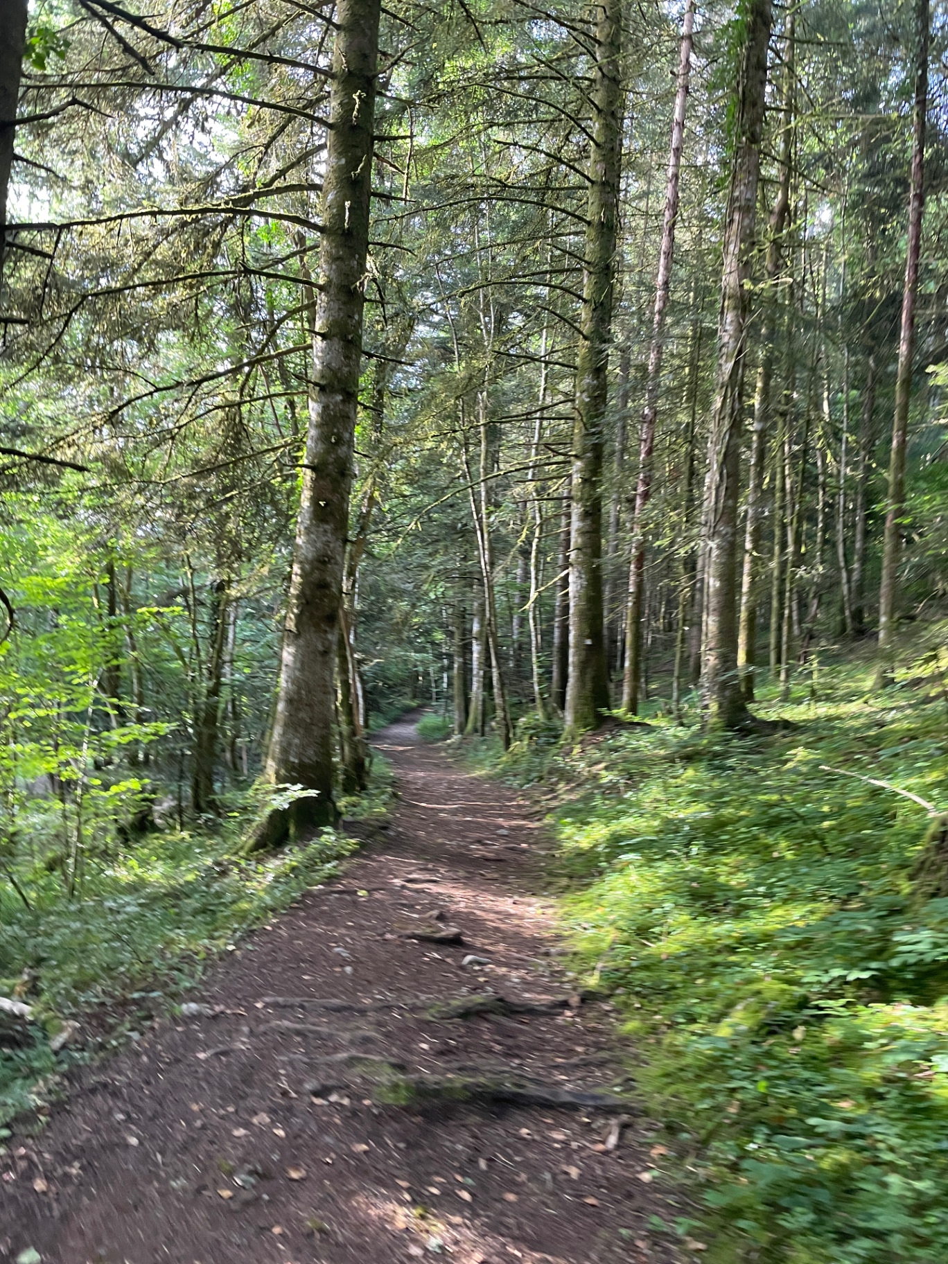 rh-ne-alpes-adventures-alpine-multi-sport-adventures